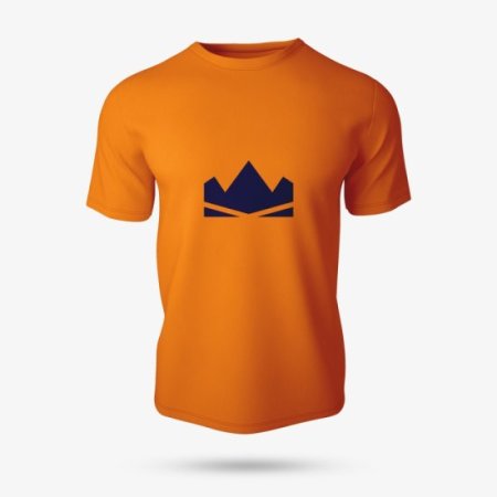 (image for) T-shirt laranja do Hey Davi